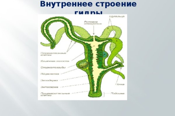 Официальная тор ссылка кракен сайта