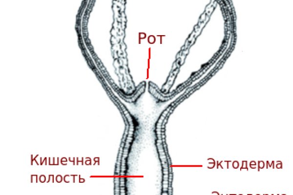 Кракен at сегодня работает ли