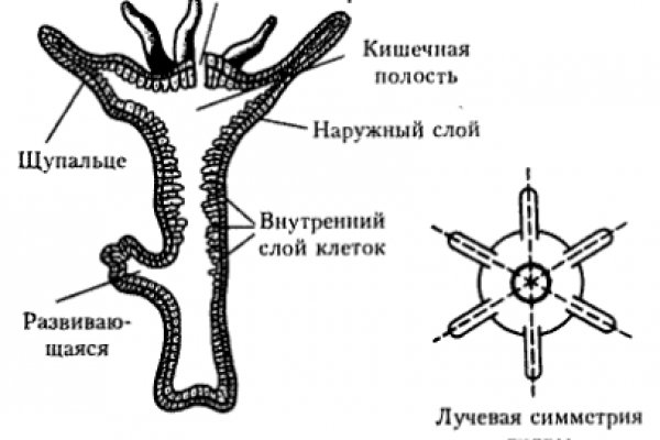 Кракен зеркало krk market com